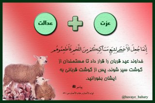 عزت و عدالت